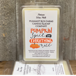 Pumpkin Spice Scented Wax Melt