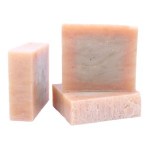 Zesty Ginger Exfoliating Handmade Artisan Bar Soap with Lime & Hibiscus | Pleasant Run Farms